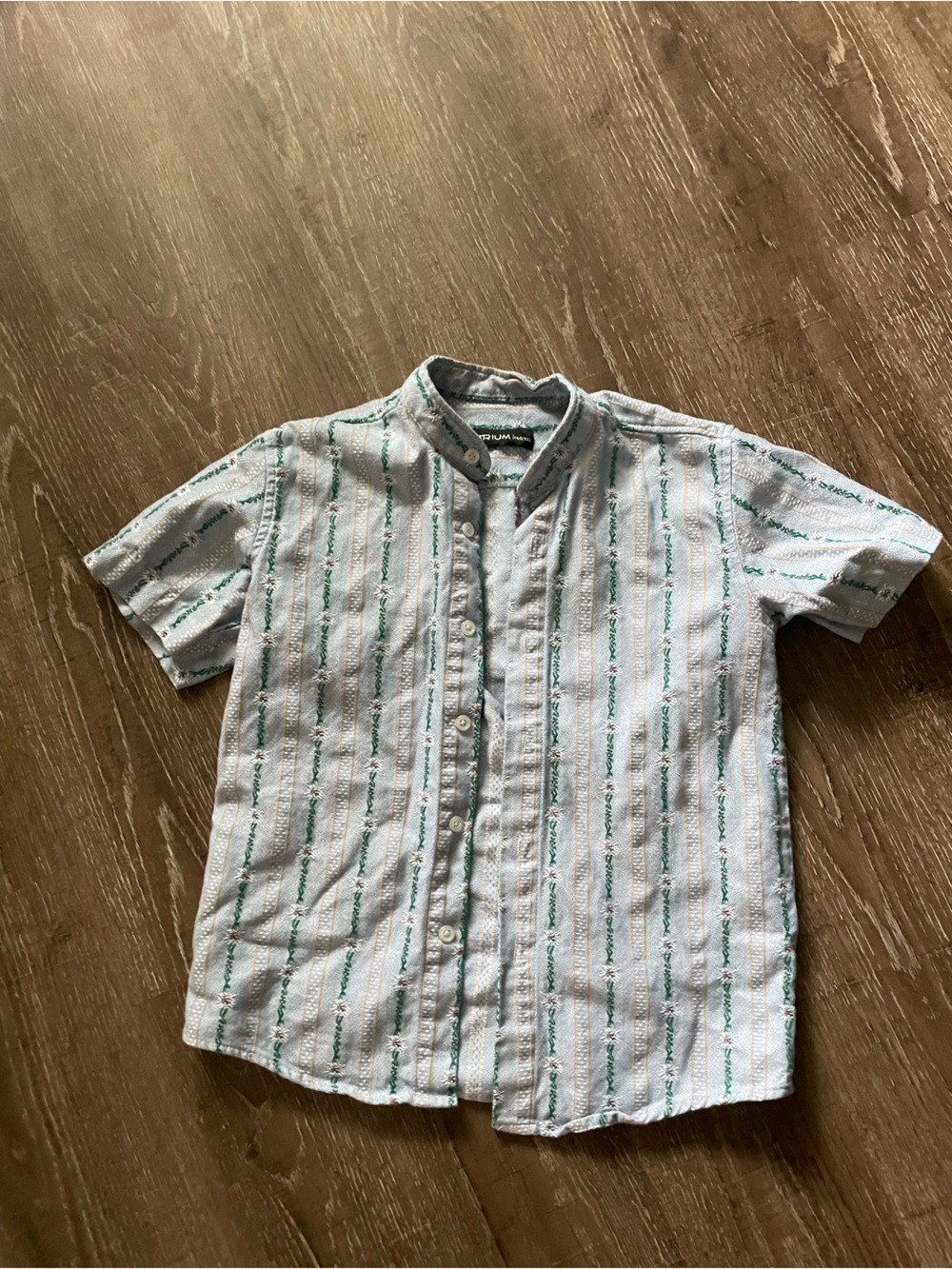Light Blue Striped Short Sleeve Button-Up Shirt sz 8/10 boy